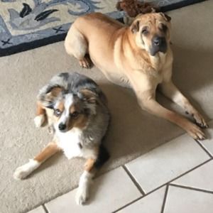 Meet your Posher, Carolyn